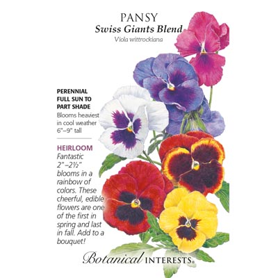 PANSY SWISS GIANTS BLEND