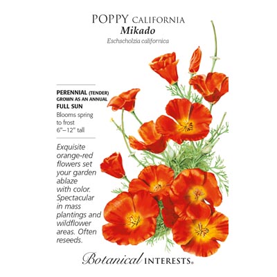 POPPY CALIFORNIA MIKADO