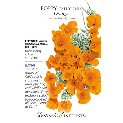 POPPY CALIFORNIA ORANGE