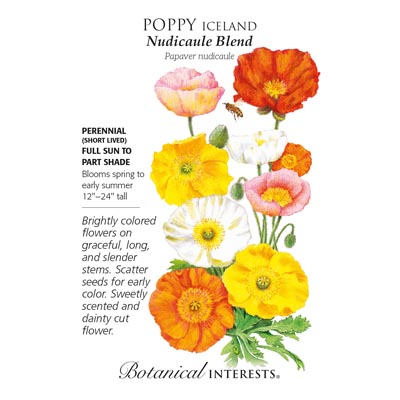 POPPY ICELAND NUDICAULE BLEND
