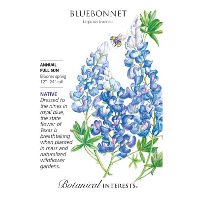 BLUEBONNET