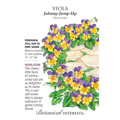 VIOLA JOHNNY-JUMP-UP