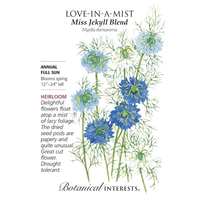 LOVE-IN-A-MIST JEKYLL BLEND