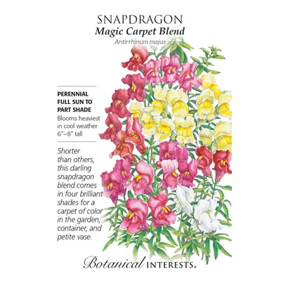 SNAPDRAGON MAGIC CARPET BLEND