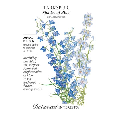 LARKSPUR SHADES OF BLUE