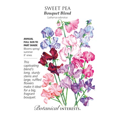 SWEET PEA BOUQUET BLEND