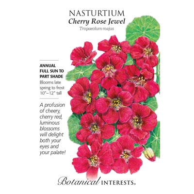 NASTURTIUM CHERRY ROSE JEWEL