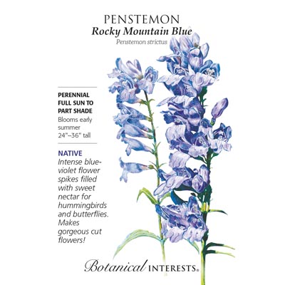 PENSTEMON ROCKY MOUNTAIN BLUE