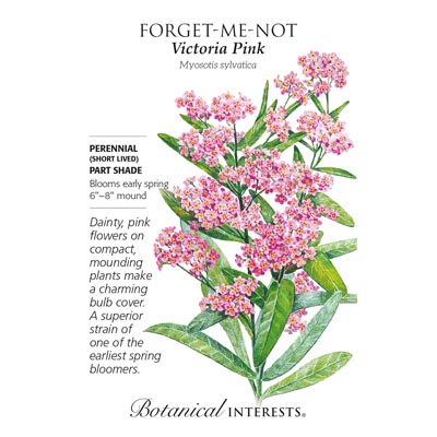 FORGET-ME-NOT VICTORIA PINK