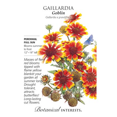 GAILLARDIA GOBLIN