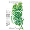 BELLS OF IRELAND