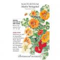 NASTURTIUM ALASKA VARIEGATED