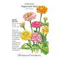 ZINNIA PEPPERMINT STICK