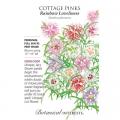 COTTAGE PINKS RAINBOW LOVELINESS