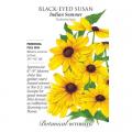 BLACK-EYED SUSAN INDIAN SUMMER