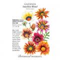 GAZANIA SUNSHINE BLEND