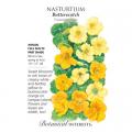 NASTURTIUM BUTTERSCOTCH