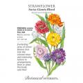 STRAWFLOWER SWISS GIANT BLEND