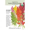 QUINOA BRIGHTEST RAINBOW ORG