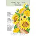 SUNFLOWER DWF ELVES BLEND ORG