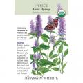 HYSSOP ANISE ORG