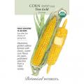 CORN SWT TRUE GOLD ORG