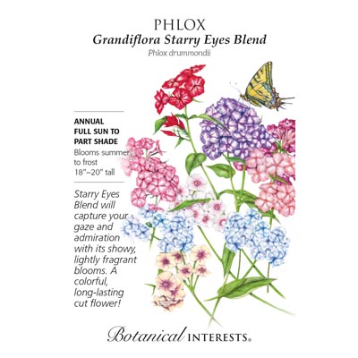 PHLOX GRANDIFLORA STARRY EYES BL