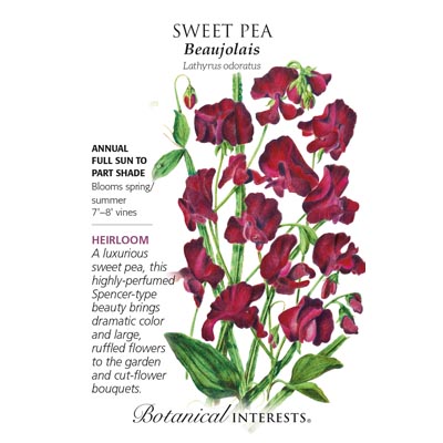SWEET PEA BEAUJOLAIS