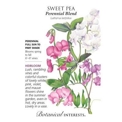 SWEET PEA PERENNIAL BLEND