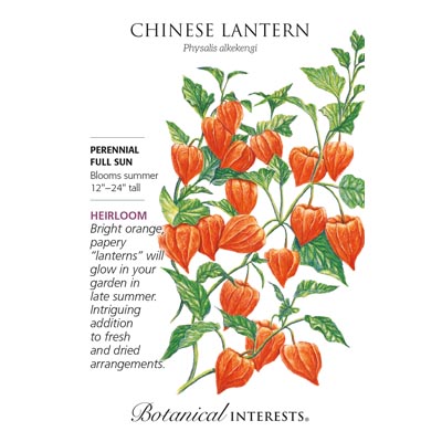 CHINESE LANTERN