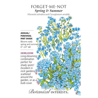 FORGET ME NOT SPRING AND SUMMER
