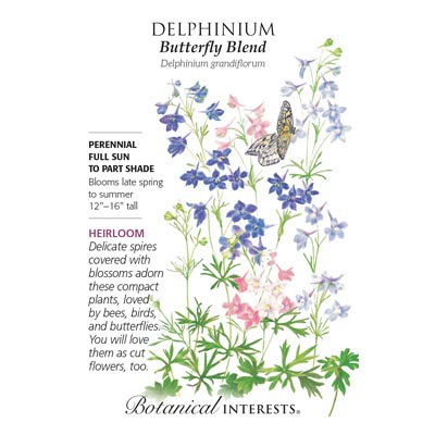 DELPHINIUM BUTTERFLY BLEND