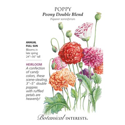 POPPY BREAD PEONY DOUBLE BLEND