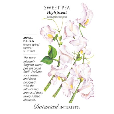 SWEET PEA HIGH SCENT