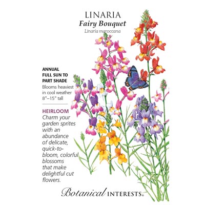 LINARIA FAIRY BOUQUET