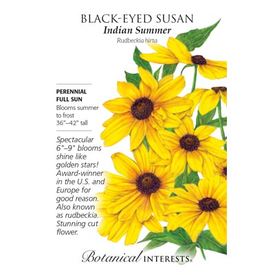 Indian Summer Black-Eyed Susan Seeds