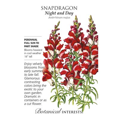 SNAPDRAGON NIGHT AND DAY