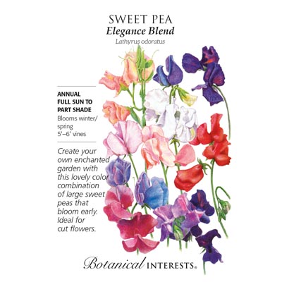 SWEET PEA ELEGANCE BLEND