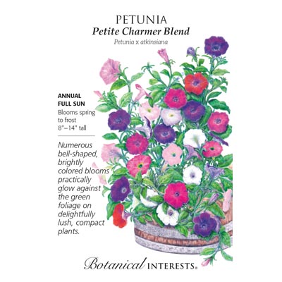 PETUNIA PETITE CHARMER BLEND