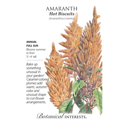 AMARANTH HOT BISCUITS