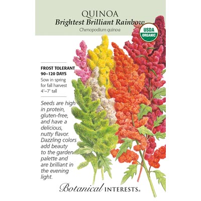 QUINOA BRIGHTEST RAINBOW ORG