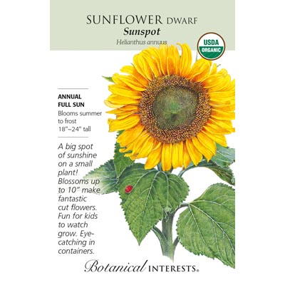 SUNFLOWER DWF SUNSPOT ORG