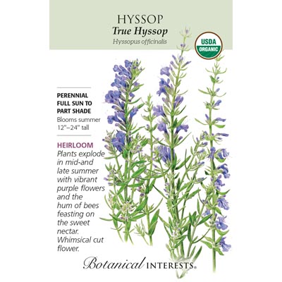 HYSSOP TRUE ORG