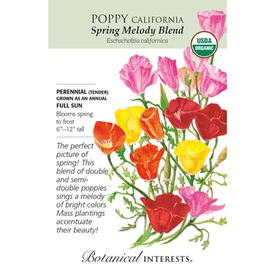 POPPY CALIFORNIA SPRG MELODY ORG