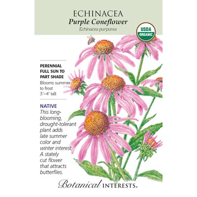 Echinacea Purple Coneflower Seeds