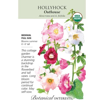 HOLLYHOCK OUTHOUSE ORG