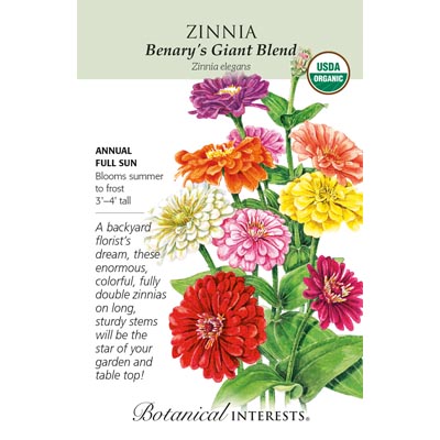 ZINNIA BENARY'S GIANT BLEND ORG