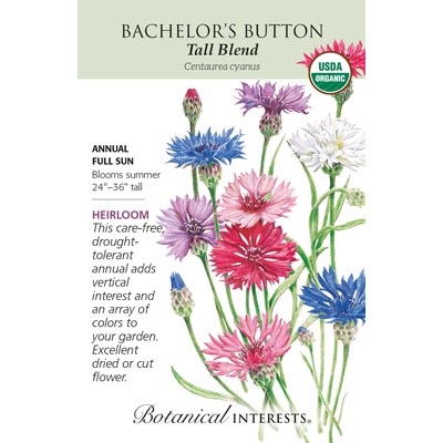 BACHELOR BUTTON TALL BLEND ORG