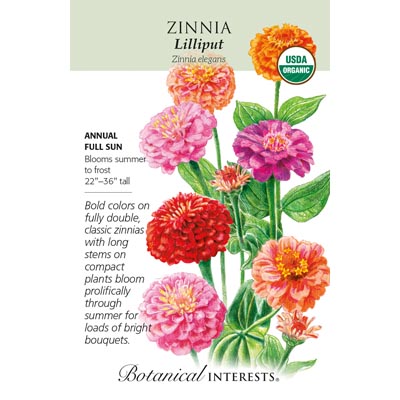 ZINNIA LILLIPUT ORG