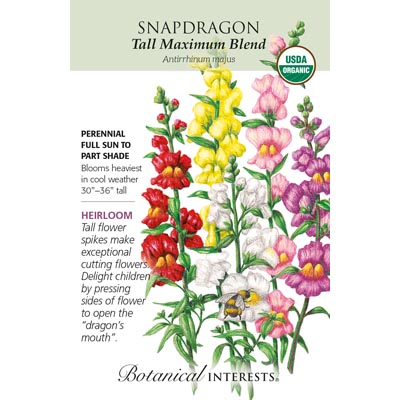 SNAPDRAGON TALL MAXIMUM ORG